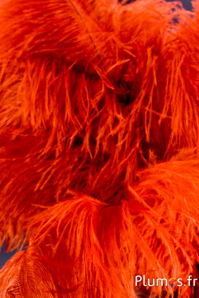 Struisvogel - 30-40 cm - amber